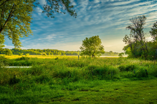 1068743 (a): :2048x1365